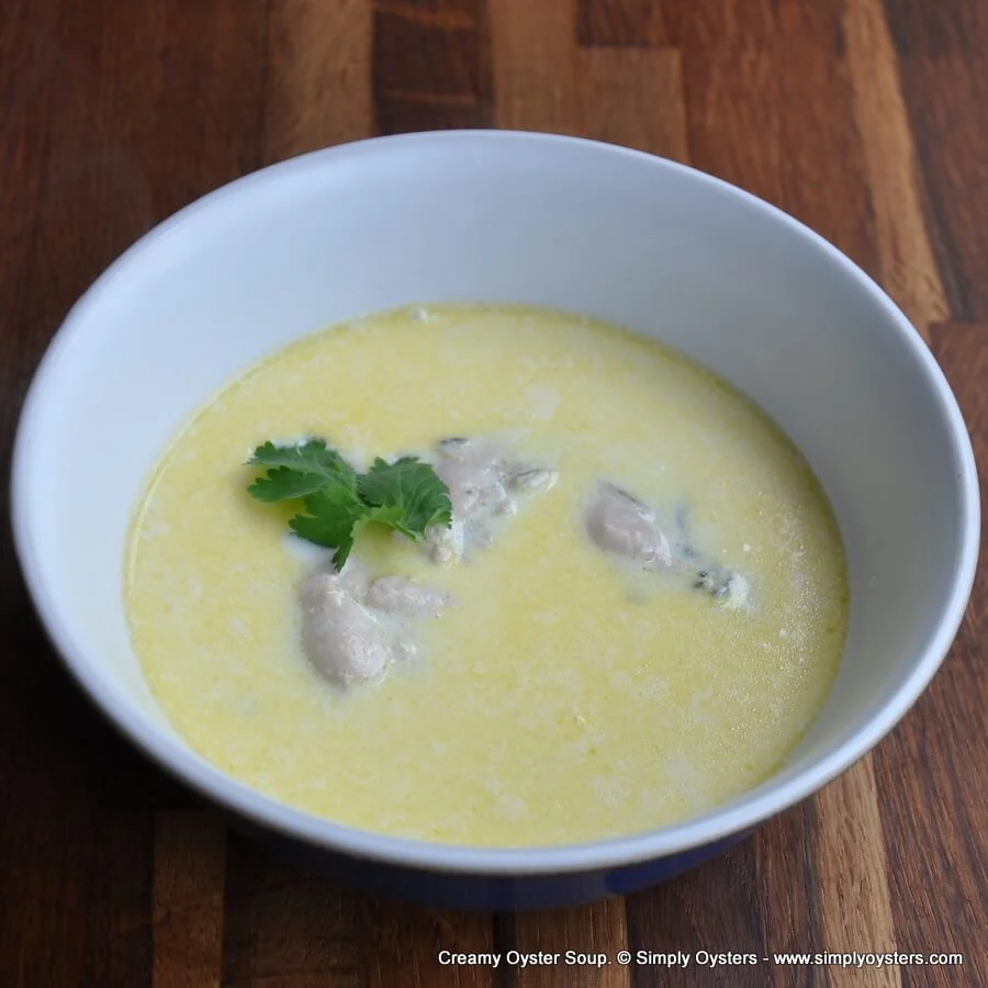 Creamy Oyster Soup