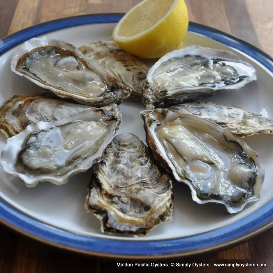 Fresh Maldon Pacific Oysters