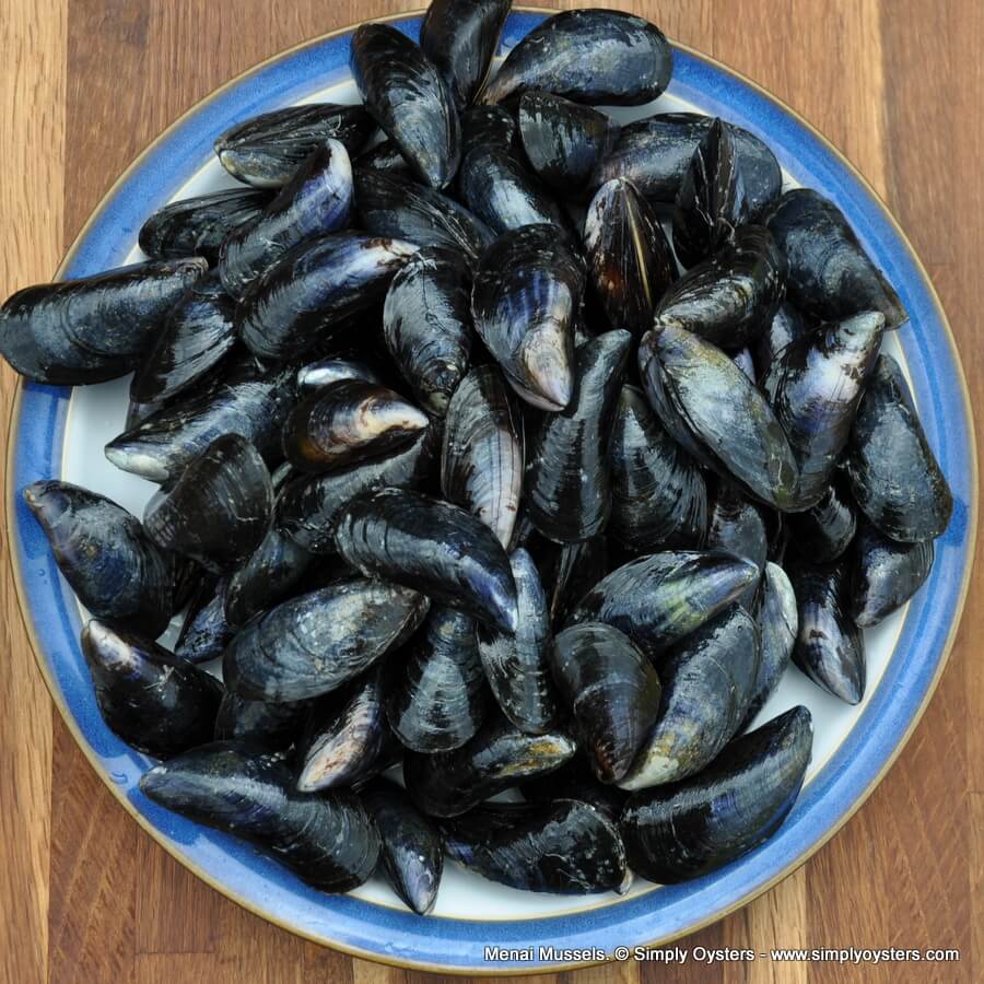 Menai Mussels (M) - Image 3