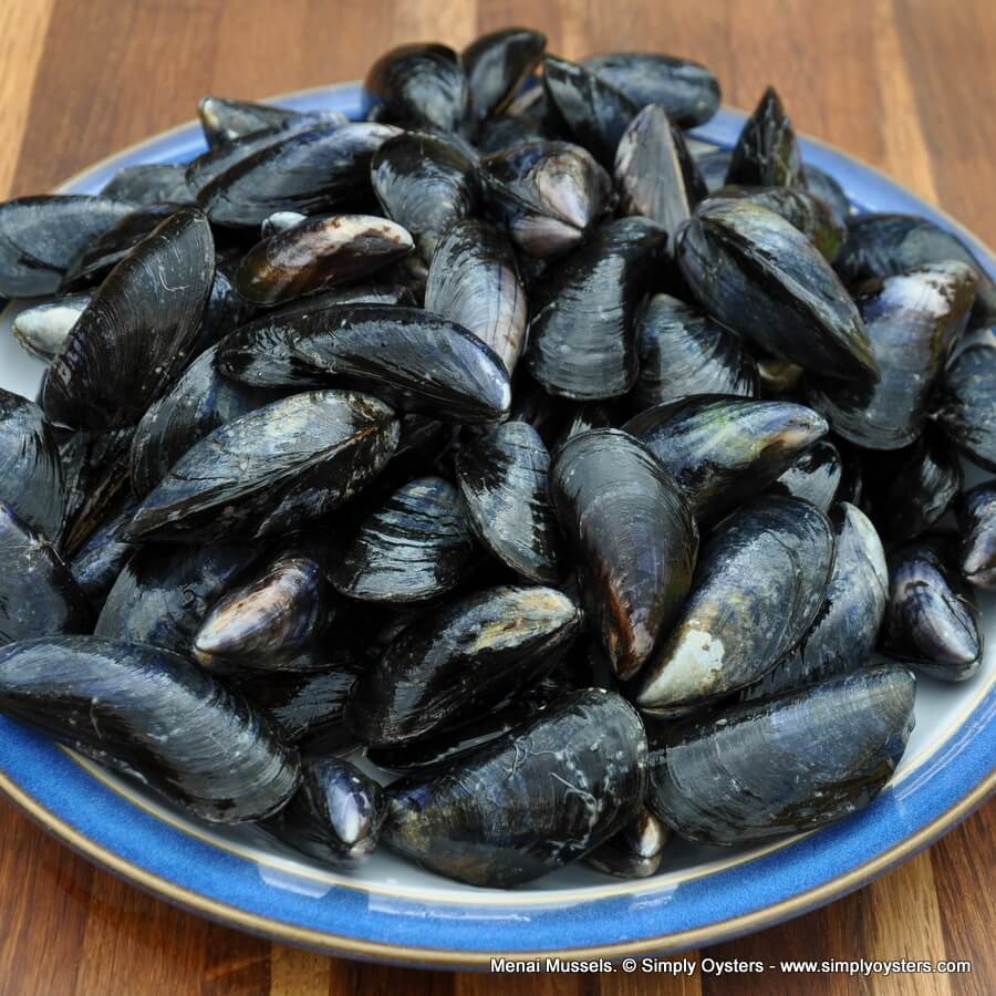 Menai Mussels (M) - Image 4